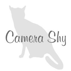 Coming Soon Coming Soon