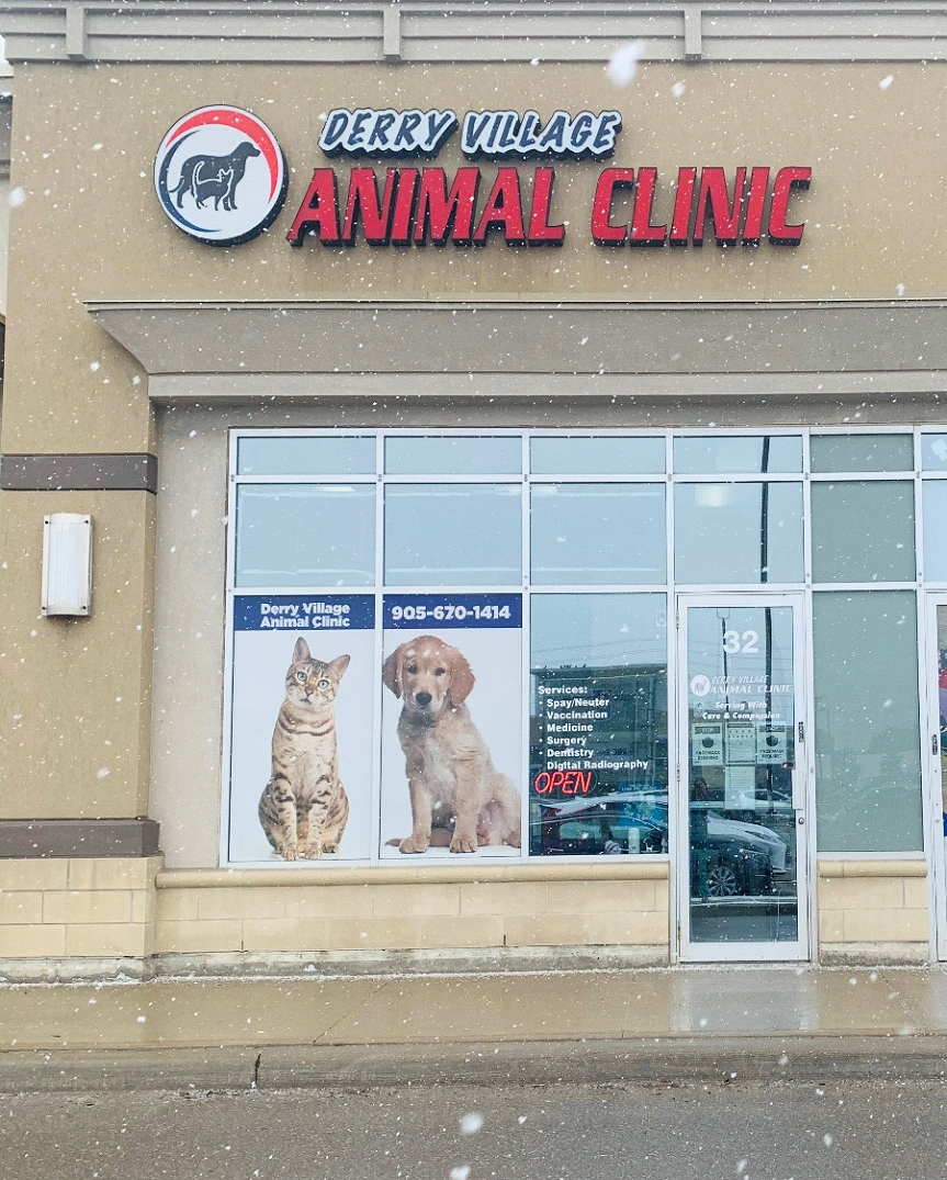 Derry Village Animal Clinic - Mississauga, Ontario - About