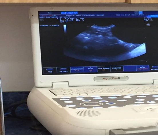 Ultrasound services