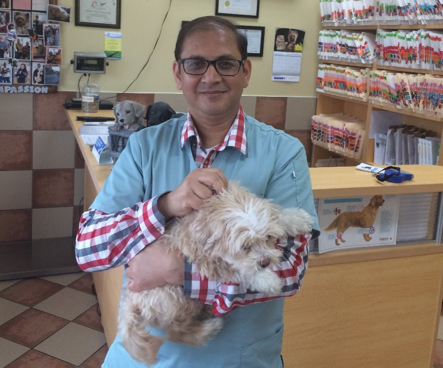 Doctor holding dog